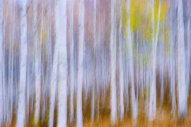 DSC_2075-4.jpg